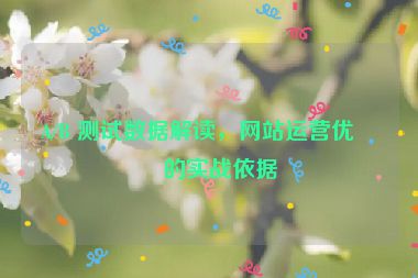 A/B 測試數(shù)據(jù)解讀，網(wǎng)站運營優(yōu)化的實戰(zhàn)依據(jù)