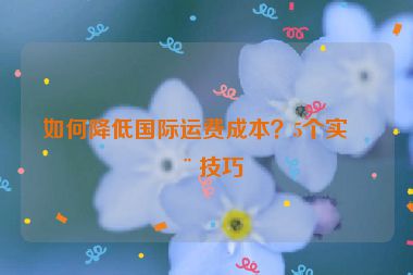 如何降低國(guó)際運(yùn)費(fèi)成本？5個(gè)實(shí)用技巧
