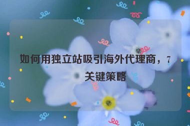 如何用獨(dú)立站吸引海外代理商，7個(gè)關(guān)鍵策略