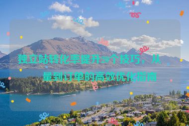 獨立站轉(zhuǎn)化率提升20個技巧，從流量到訂單的高效優(yōu)化指南