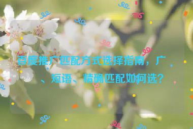 百度推廣匹配方式選擇指南，廣泛、短語、精確匹配如何選？