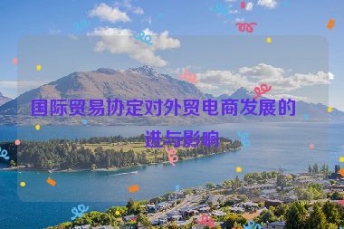 國際貿(mào)易協(xié)定對外貿(mào)電商發(fā)展的促進(jìn)與影響