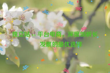 獨(dú)立站 vs 平臺(tái)電商，深度剖析長(zhǎng)期發(fā)展的最優(yōu)選擇
