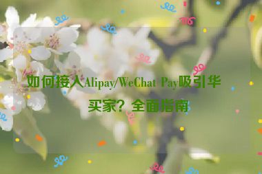 如何接入Alipay/WeChat Pay吸引華人買家？全面指南