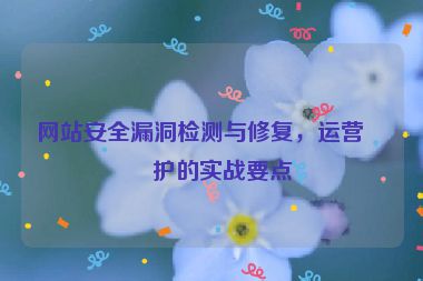 網(wǎng)站安全漏洞檢測與修復(fù)，運(yùn)營維護(hù)的實(shí)戰(zhàn)要點(diǎn)