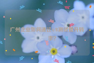 廣州企業(yè)如何通過A/B測試提升轉(zhuǎn)化率？