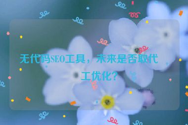無代碼SEO工具，未來是否取代人工優(yōu)化？