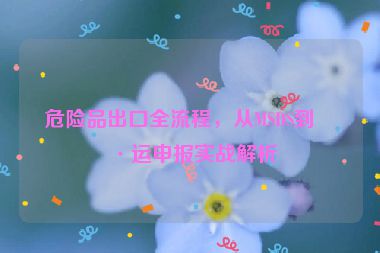 危險(xiǎn)品出口全流程，從MSDS到海運(yùn)申報(bào)實(shí)戰(zhàn)解析