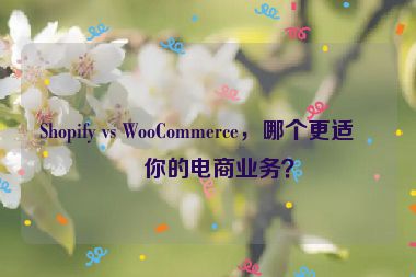 Shopify vs WooCommerce，哪個(gè)更適合你的電商業(yè)務(wù)？