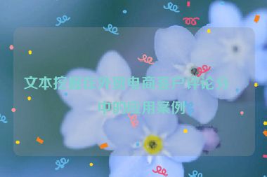 文本挖掘在外貿(mào)電商客戶評論分析中的應(yīng)用案例