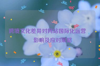 跨境文化差異對網(wǎng)站國際化運營的影響及應對策略
