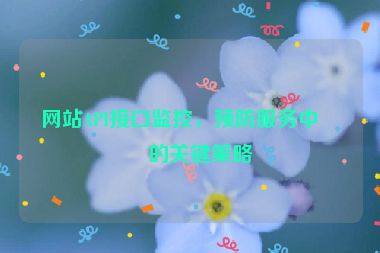 網(wǎng)站API接口監(jiān)控，預(yù)防服務(wù)中斷的關(guān)鍵策略