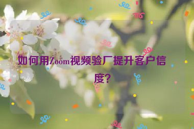 如何用Zoom視頻驗(yàn)廠提升客戶信任度？