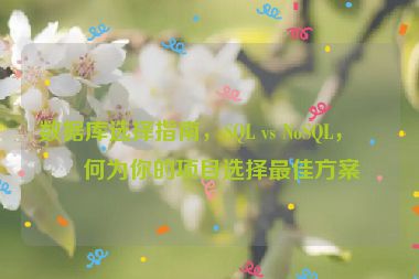 數(shù)據(jù)庫選擇指南，SQL vs NoSQL，如何為你的項(xiàng)目選擇最佳方案