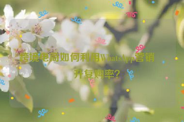跨境電商如何利用WhatsApp營(yíng)銷提升復(fù)購(gòu)率？