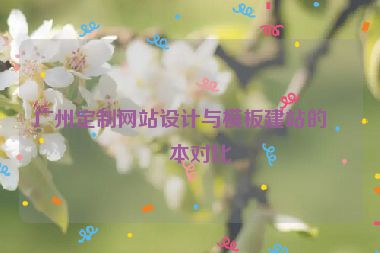 廣州定制網(wǎng)站設(shè)計與模板建站的成本對比