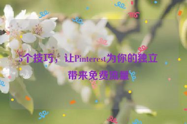 5個技巧，讓Pinterest為你的獨(dú)立站帶來免費(fèi)流量