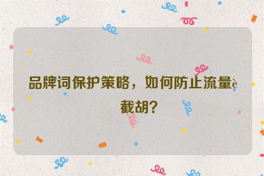 品牌詞保護(hù)策略，如何防止流量被截胡？