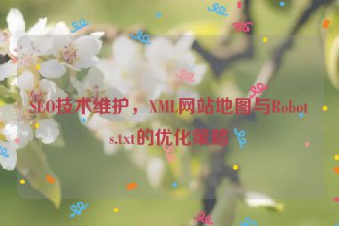 SEO技術維護，XML網(wǎng)站地圖與Robots.txt的優(yōu)化策略