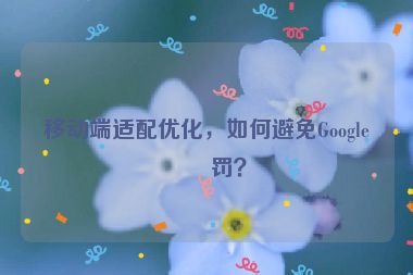 移動(dòng)端適配優(yōu)化，如何避免Google懲罰？